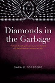 Diamonds in the Garbage 1