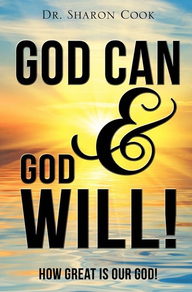 bokomslag God Can & God Will!