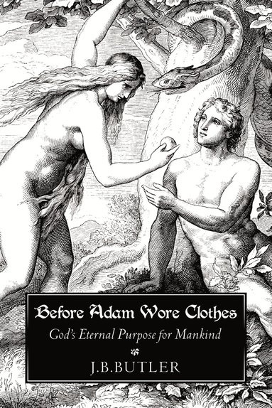 bokomslag Before Adam Wore Clothes