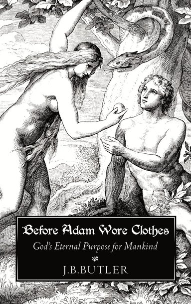 bokomslag Before Adam Wore Clothes
