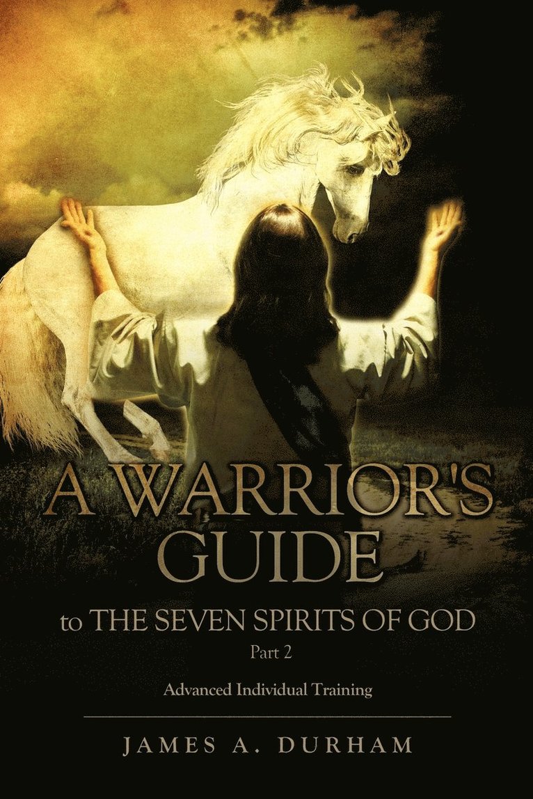 A Warrior's Guide to THE SEVEN SPIRITS OF GOD Part 2 1