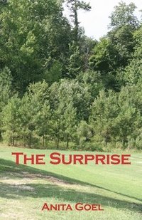 bokomslag Surprise