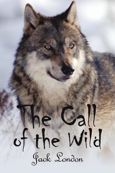bokomslag Call of the Wild