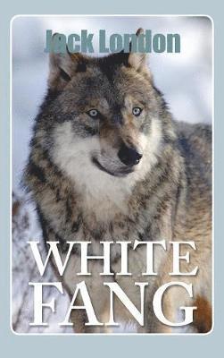 Jack London - White Fang, Inbunden