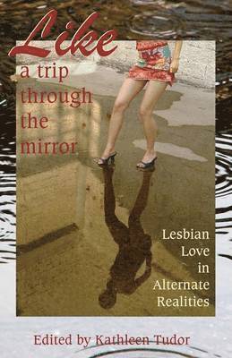 Like a Trip Through the Mirror 1