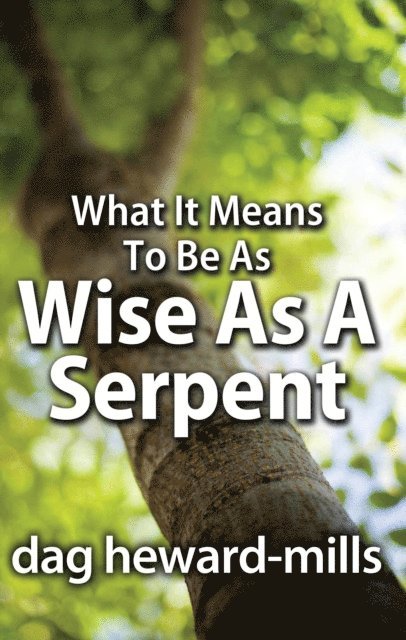 Dag Heward-Mills - What It Means to Be as Wise as a Serpent, Häftad