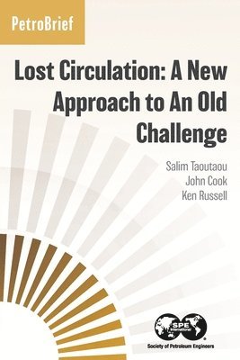 Salim Taoutaou, John Cook, Ken Russell - Lost Circulation, Häftad