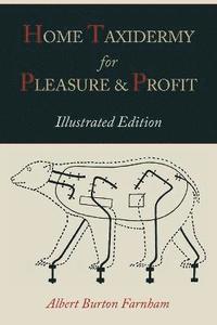 bokomslag Home Taxidermy for Pleasure and Profit [Illustrated Edition]