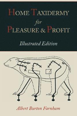 bokomslag Home Taxidermy for Pleasure and Profit [Illustrated Edition]