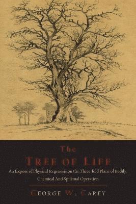 George W Carey - Tree of Life, Häftad