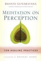 bokomslag Meditation on Perception