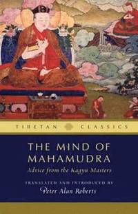 bokomslag The Mind of Mahamudra