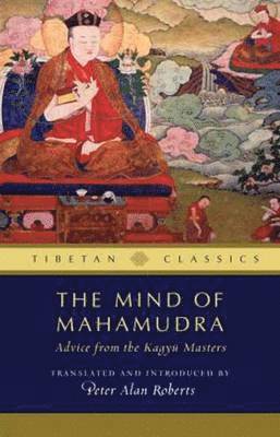 bokomslag The Mind of Mahamudra