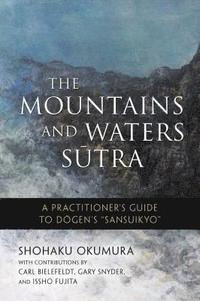 bokomslag The Mountains and Waters Sutra