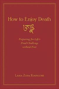 bokomslag How to Enjoy Death