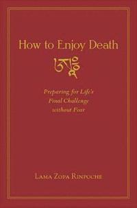 bokomslag How to Enjoy Death