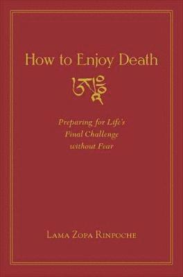 bokomslag How to Enjoy Death
