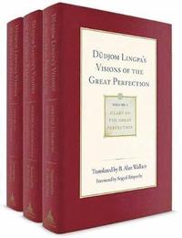 bokomslag Dudjom Lingpa's Visions of the Great Perfection