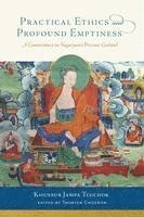 bokomslag Practical Ethics and Profound Emptiness