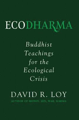 David Loy - Ecodharma, Häftad