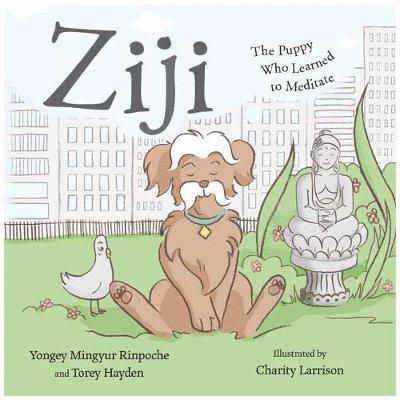 Ziji