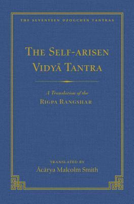 bokomslag Self-Arisen Vidya Tantra (Volume 1), The and The Self-Liberated Vidya Tantra (Volume 2)