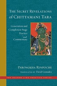 bokomslag The Secret Revelations of Chittamani Tara