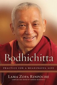bokomslag Bodhichitta
