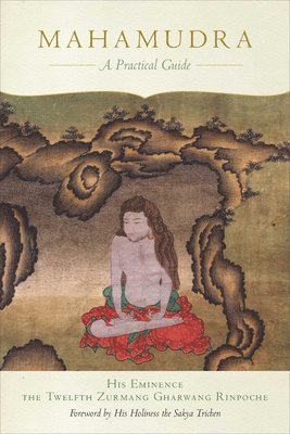 bokomslag Mahamudra