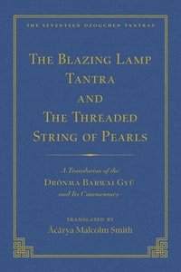 bokomslag The Tantra Without Syllables (Volume 3) and The Blazing Lamp Tantra (Volume 4)