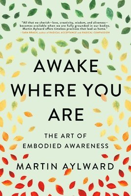 Martin Aylward - Awake Where You Are, Häftad