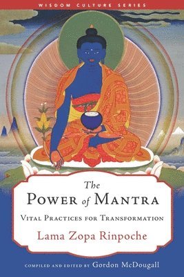 bokomslag Power of Mantra