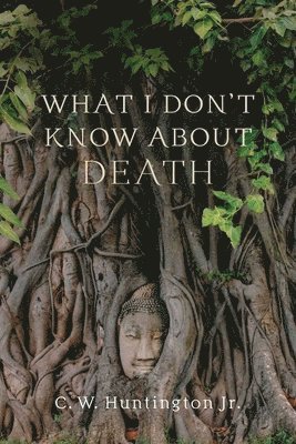 What I Don't Know About Death