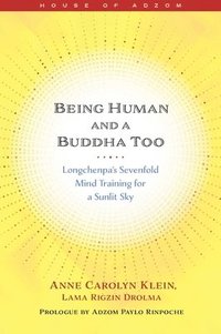 bokomslag Being Human and a Buddha Too