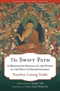 bokomslag The Swift Path