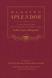 bokomslag Blazing Splendor