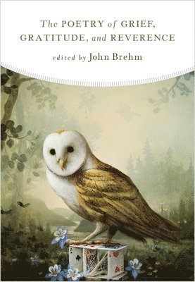 John Brehm, John Brehm - Poetry of Grief, Gratitude, and Reverence, Häftad