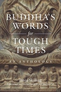 bokomslag Buddha's Words for Tough Times