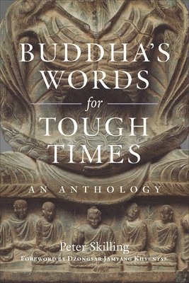 Buddha's Words for Tough Times 1