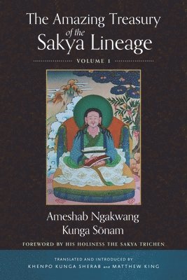 bokomslag The Amazing Treasury of the Sakya Lineage