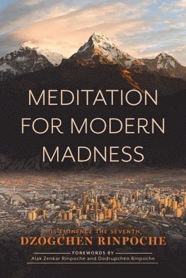 bokomslag Meditation for Modern Madness