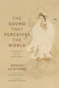 bokomslag Sound That Perceives the World