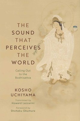 bokomslag Sound That Perceives the World
