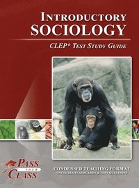 bokomslag Introductory Sociology CLEP Test Study Guide