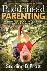 bokomslag Pudd'nhead Parenting