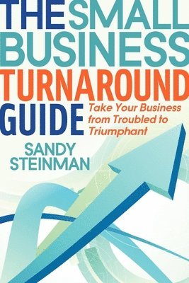 Sandy Steinman - Small Business Turnaround Guide, Häftad