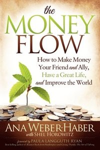 bokomslag The Money Flow