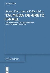bokomslag Talmuda de-Eretz Israel
