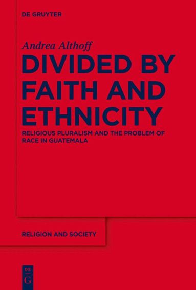 Andrea Althoff - Divided by Faith and Ethnicity, Inbunden