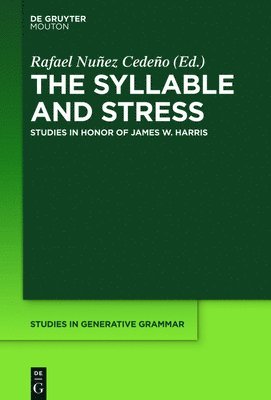 bokomslag Syllable and Stress